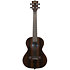 Ziricote Tenor + Housse Kala