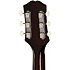 Blues King Studio Acoustic Collection Dark Burst + Housse Epiphone