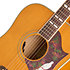 Dove Studio Acoustic Collection Natural + Housse Epiphone