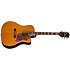 Hummingbird Studio EC Acoustic Collection Antique Natural + Housse Epiphone