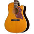 Hummingbird Studio EC Acoustic Collection Antique Natural + Housse Epiphone