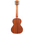 Solid Spruce Top Mahogany Tenor + Housse Kala