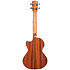 Solid Spruce Top Mahogany Tenor Cutaway EQ + Housse Kala