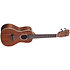 All Solid Gloss Mahogany Concert + Étui Kala