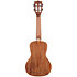 All Solid Gloss Mahogany Concert + Étui Kala
