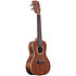 All Solid Gloss Mahogany Concert + Étui Kala