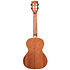 All Solid Gloss Mahogany Tenor + Étui Kala