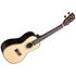 Solid Spruce Top Striped Ebony Concert + Housse Kala