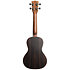 Solid Spruce Top Striped Ebony Concert + Housse Kala