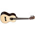 Solid Spruce Top Striped Ebony Tenor + Housse Kala