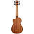 Hutch Hutchinson Signature U-Bass + Housse Kala