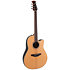 CS24 4 G Electro acoustic Guitar Celebrity CS Standard Mid Cutaway Natural Ovation