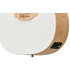 Applause E-Acoustic Guitar Jump Blank Canvas Ovation