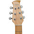 Applause E-Acoustic Guitar Jump Blank Canvas Ovation