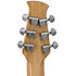 Applause E-Acoustic Guitar Jump Blank Canvas Ovation