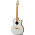 Applause E-Acoustic Guitar Jump Blank Canvas Ovation