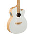 Applause E-Acoustic Guitar Jump Blank Canvas Ovation