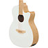 Applause E-Acoustic Guitar Jump Blank Canvas Ovation