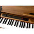 Poetry Magnifique Korg
