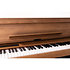 Poetry Magnifique Korg
