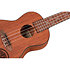 Tree of Life format Concert Ortega
