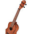 Tree of Life format Concert Ortega