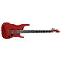 Horizon-II USA Fishman Fluence Apple Bomb + étui ESP