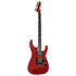 Horizon-II USA Fishman Fluence Apple Bomb + étui ESP