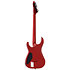 Horizon-II USA Fishman Fluence Apple Bomb + étui ESP
