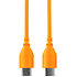 SC22 Orange Rode