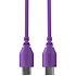 SC22 Purple Rode