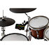RSH-10 Roland