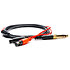 R1 OLLO AUDIO