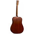 D-11 Stained Glass Martin Guitars