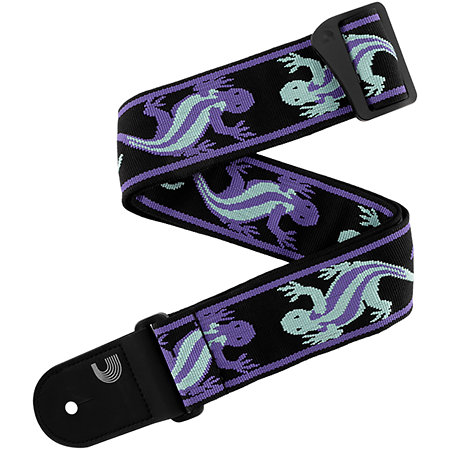 D'Addario 50PW02 Vintage Planet Waves Lizards Teal