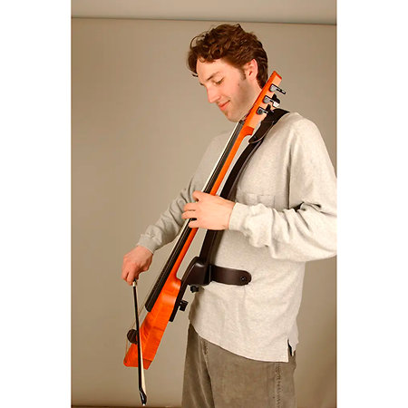 Frame Strap System NS Design