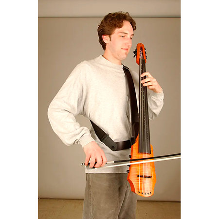 Frame Strap System NS Design