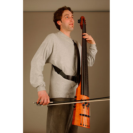 Frame Strap System NS Design