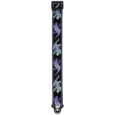 D'Addario 50BALPW02 Auto Lock Teal Lizards