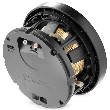 300 ICW8 Focal