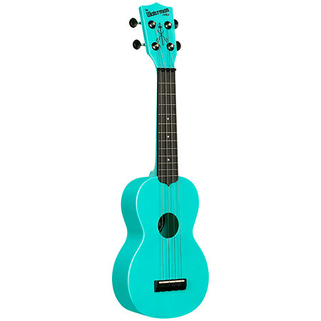 Recycled Waterman Soprano Aqua Mist Phosphorescent Kala