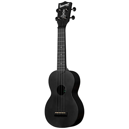 Recycled Waterman Soprano Black Sand Kala