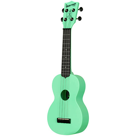 Recycled Waterman Soprano Sea Foam Green Kala