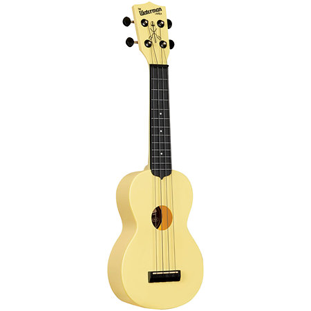 Recycled Waterman Soprano Starlight Yellow Glow in the Dark Kala