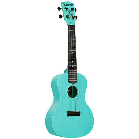 Recycled Waterman Concert Aqua Mist Phosphorescent Kala