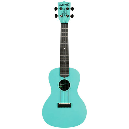 Recycled Waterman Concert Aqua Mist Phosphorescent Kala