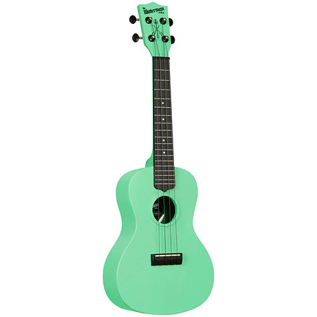 Recycled Waterman Concert Sea Foam Green Kala