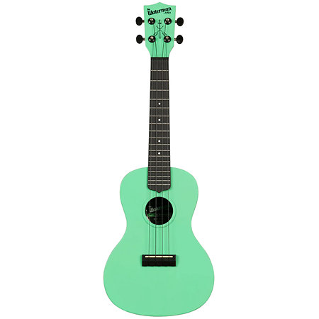 Recycled Waterman Concert Sea Foam Green Kala