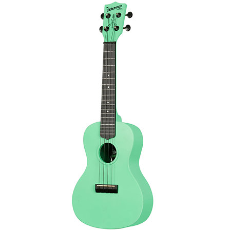 Recycled Waterman Concert Sea Foam Green Kala