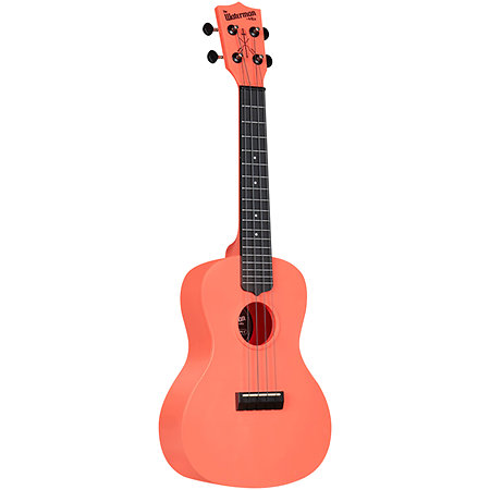 Recycled Waterman Concert Pink Dust Kala